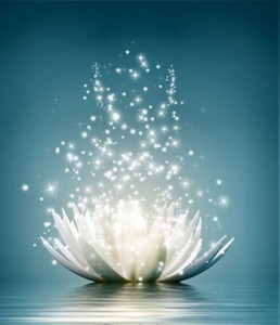 sparkling lotus